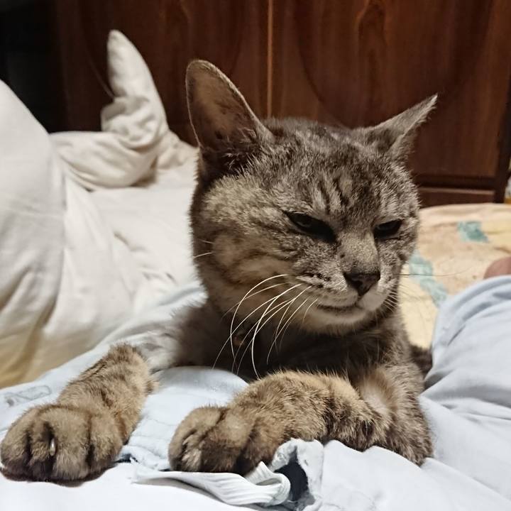 754a0b70 a49f 44ec aba3 dd9f88c0d709 1591792807856