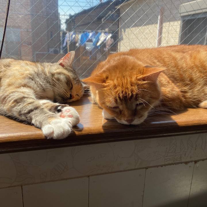 754a0ec4 9d3b 4722 b01b 2f34d2a3726e 1586539840143