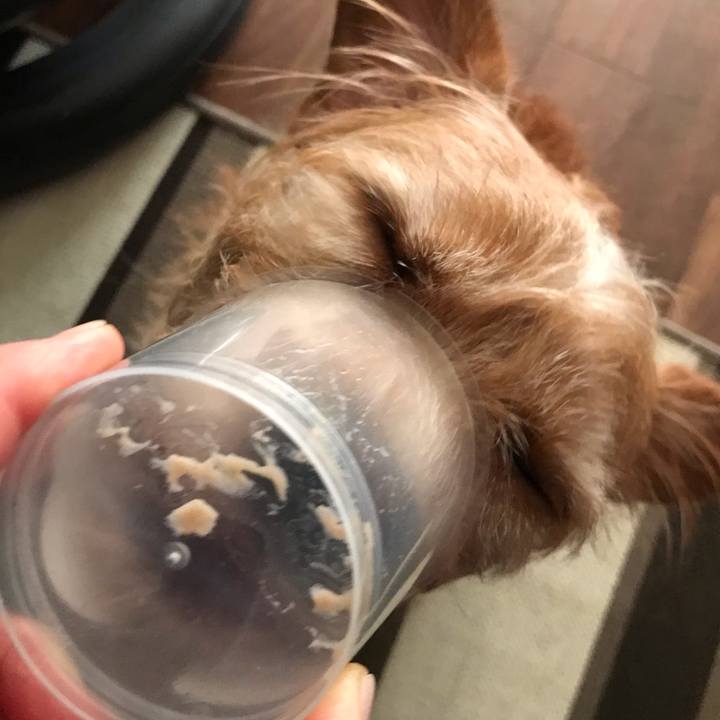 754a38c2 1853 4bb6 9283 c613a651ce49 1603600342568