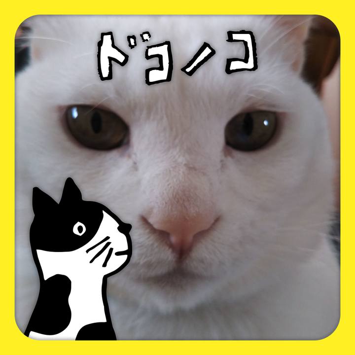 754a9956 11f7 4144 8da2 190f1775c18b 1622950860913