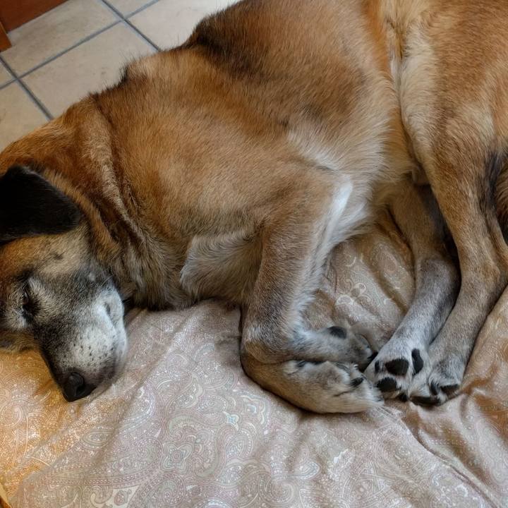 754ab8ce 5290 4a82 84a9 55205926c067 1510811242910