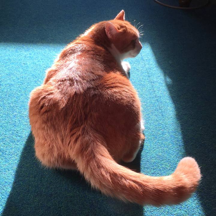 754acd05 2456 4d9e ae1b 5c116466daac 1575640288062