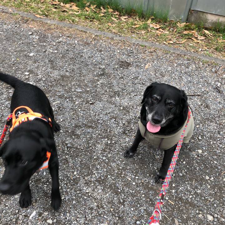 754acebf 6d11 45bc b1f2 cf159b5309c3 1615284625178