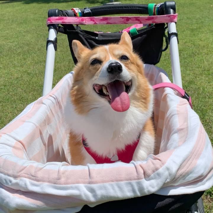 754afb98 7ef7 4052 aeb4 f6e130f754c0 1715307309461