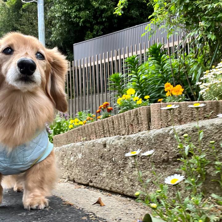 754b182c f5a5 442a 8c0f e32dfde0457a 1682602394845