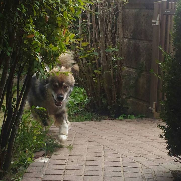 754b5196 cfcd 4e8e b9e9 6a9a20485633 1539333581944