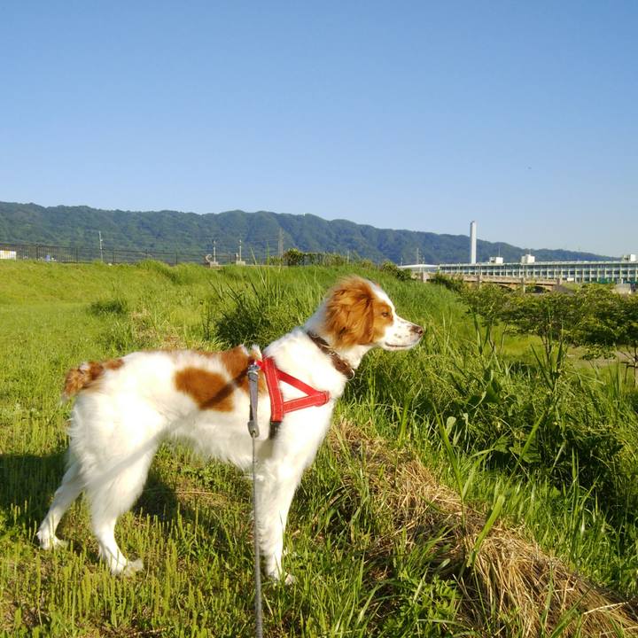 754b734b ebdc 44be a58b 1aeb1b74e179 1526903934711