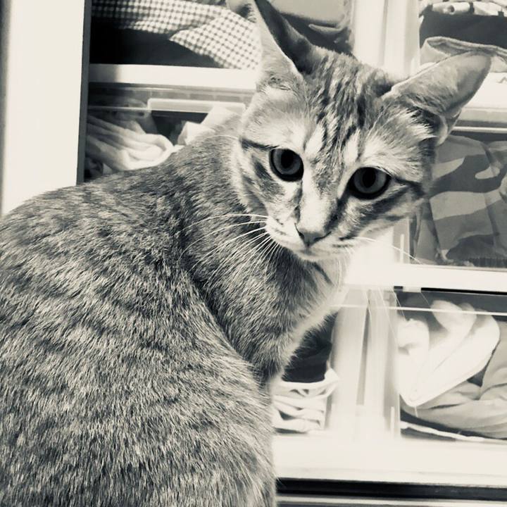 754b81a3 4a61 4e21 9a45 be5fe20f63ec 1528722150914