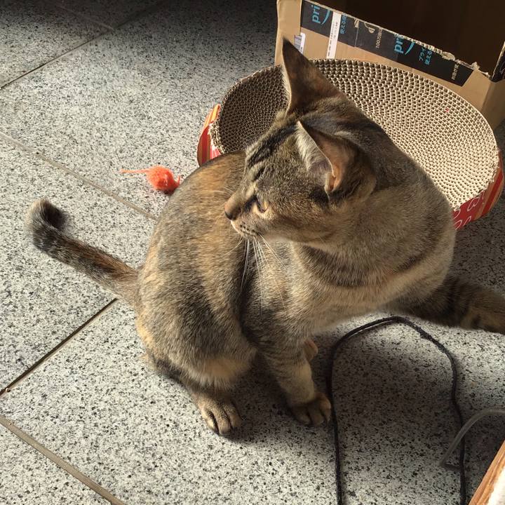 754b840f c54b 49ff a6ac b8b20535f41c 1577496773186