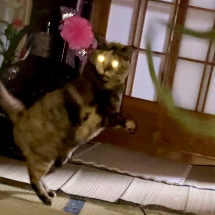 754b88ba a112 414b 88eb 6f5d08e264fd 1738442620591