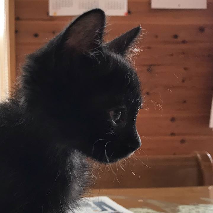 754b93f5 34a3 4bc3 be4f 16deb56f5d83 1561768822350