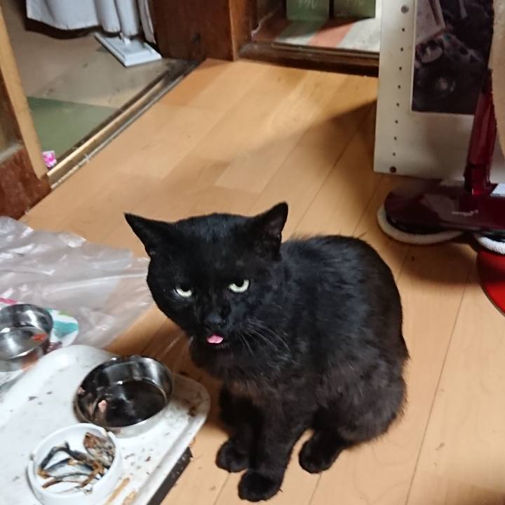 754ba3c5 ec3c 4553 8a0d 42828e7e2e5b 1625918821811