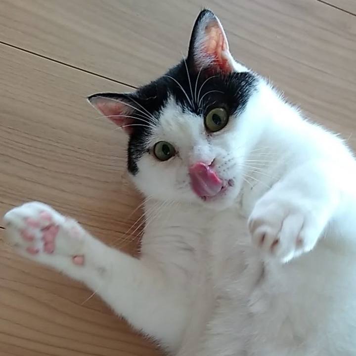 754bb990 17e9 40c8 bb37 2fc2573e6a74 1563191063238