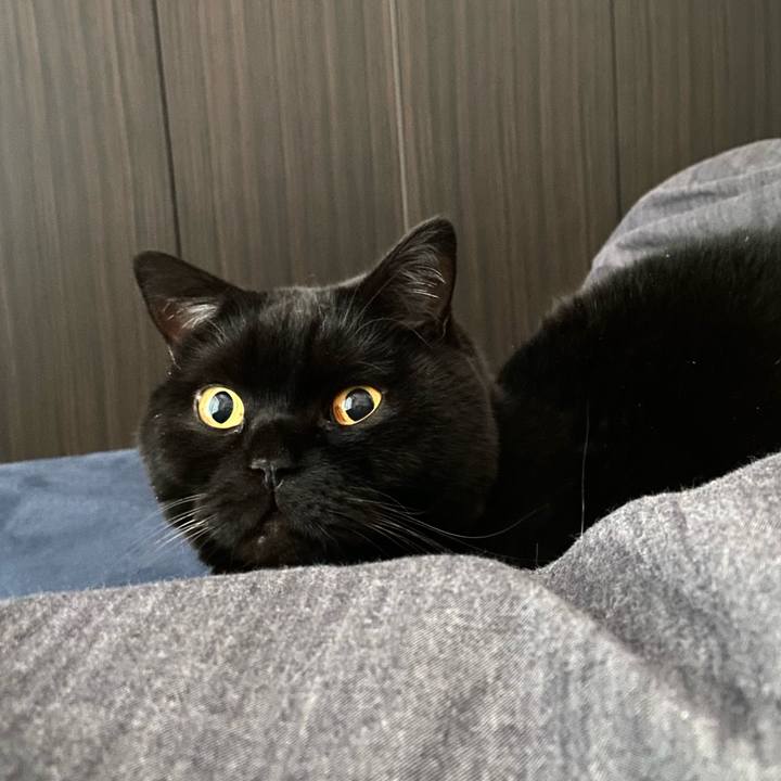 754bbbd7 4db6 4209 9472 d7ccbe0e751b 1765803249717