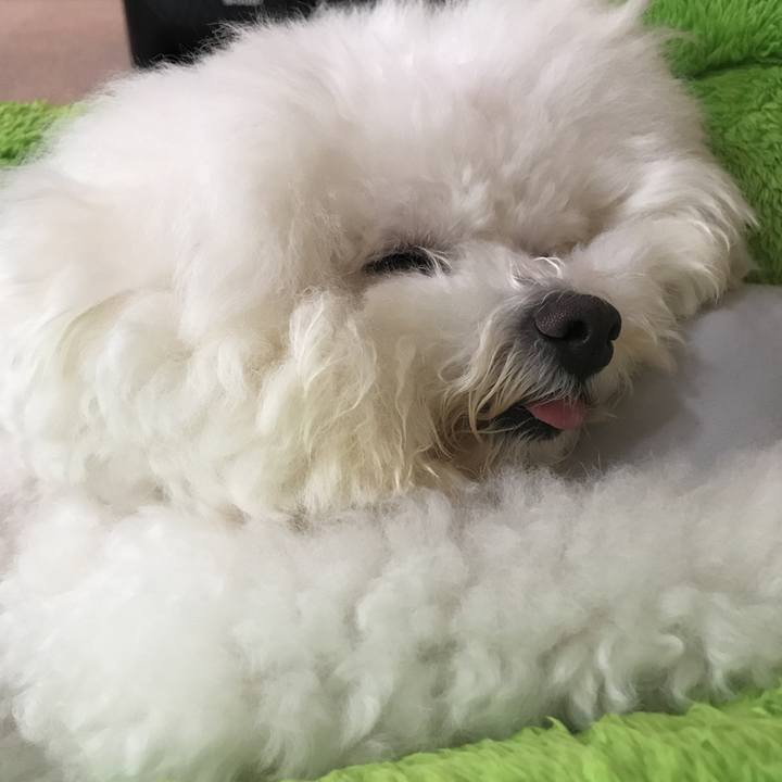 754bd0a3 d58a 45ae 80db 770f2222dd0a 1593845343472