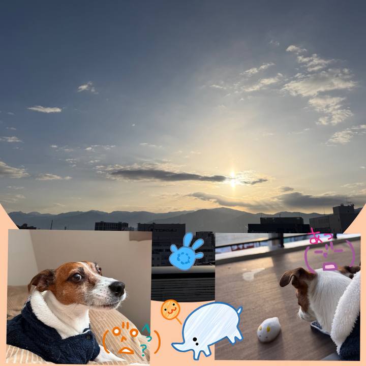 754be088 8f7e 407e aa84 2a42f0260460 1769503452282