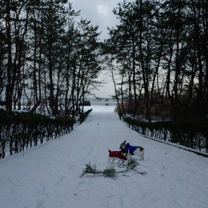 754be79a d2ba 40b2 b001 a8880dea8058 1516943310143