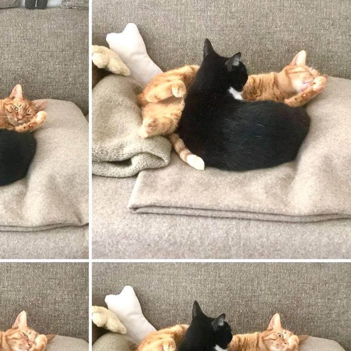 754bec69 4798 4a71 b798 0743ad3e8d12 1515221265393