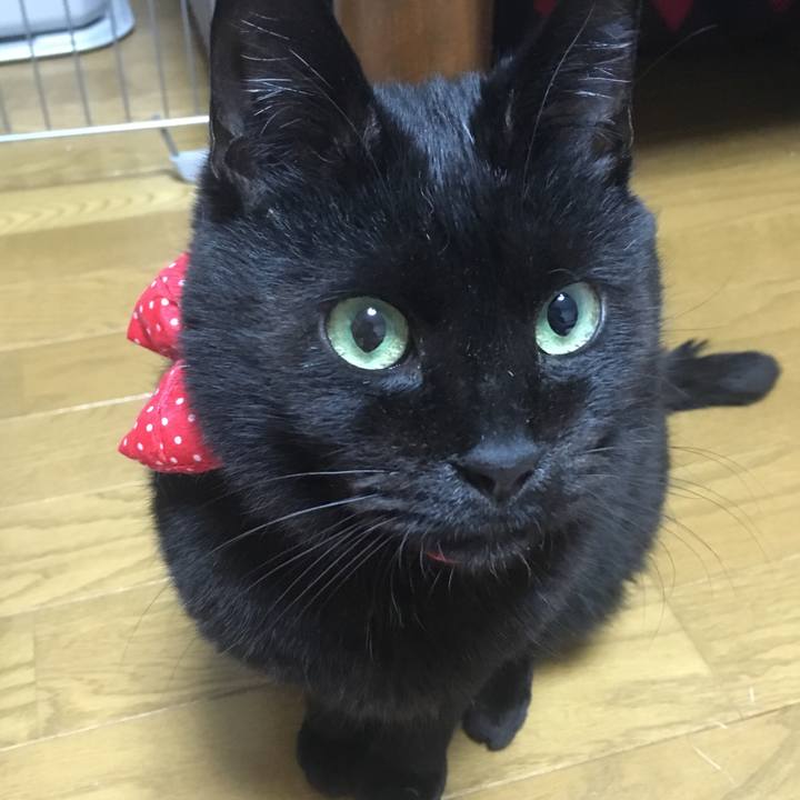 754c0245 d45c 410c 8c73 f2df8d493f3d 1545340400030