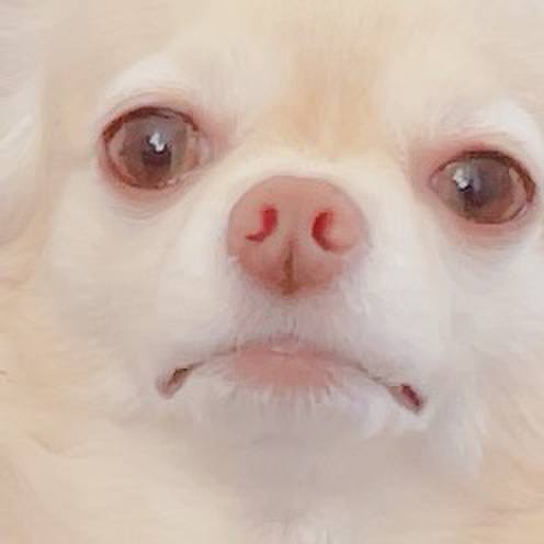 754c40c5 a7b1 43b2 88d9 8101454e4ff1 1764496454955