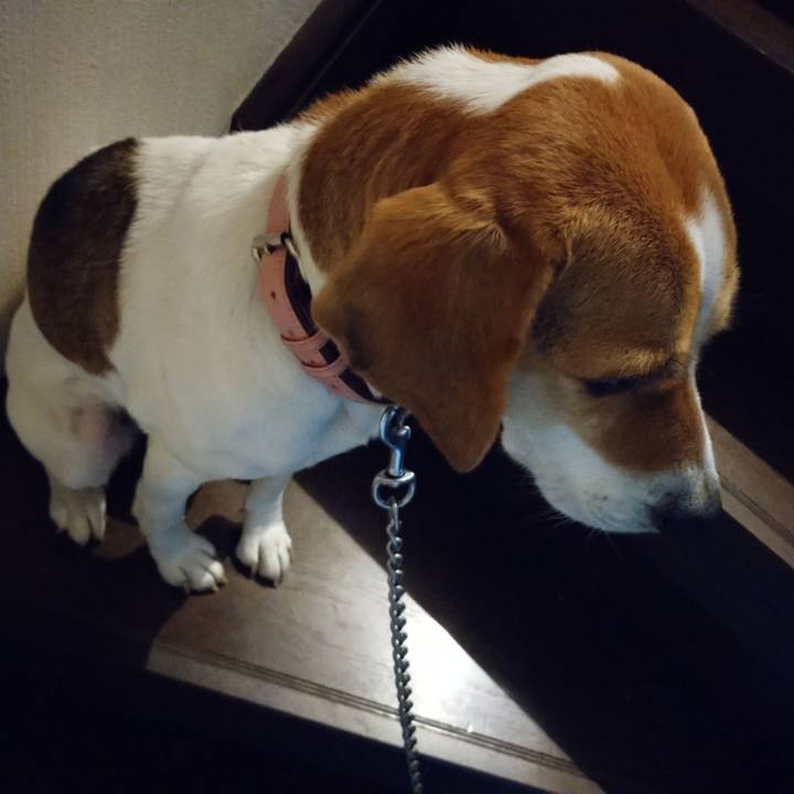 754c4be4 f13d 4d4b aae8 07eaa2ccb022 1579528562372