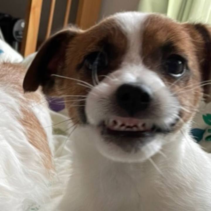 754c4bf4 509b 42ab a7b9 f004d0aaf2b8 1616315777519