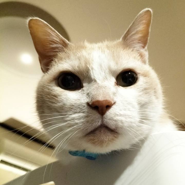 754c63ba 2de7 4683 85c6 c68fef7eee71 1677328231596