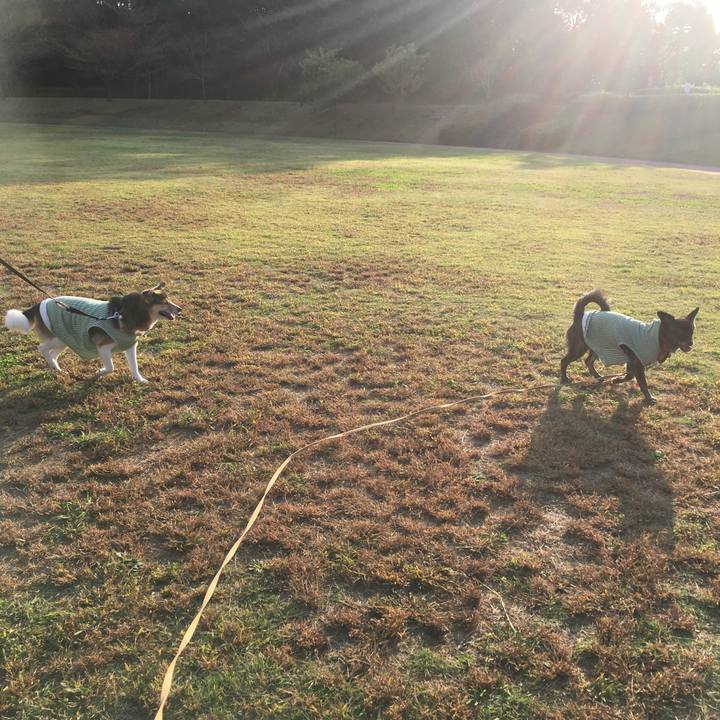 754cbd57 c51f 406a 8114 d24413022ad6 1509373667371