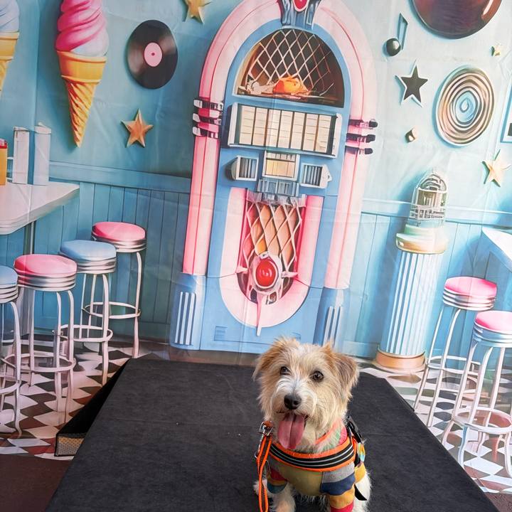 754ce9f7 8df2 4fe2 8e5a 58415bd37438 1771838959078