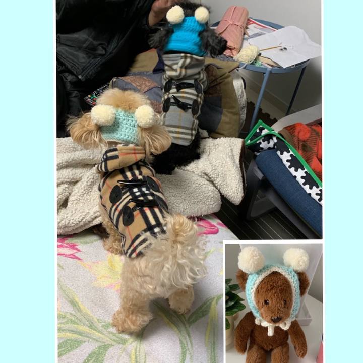 754d1c09 8433 4c78 b677 a36901baedb6 1549878091607