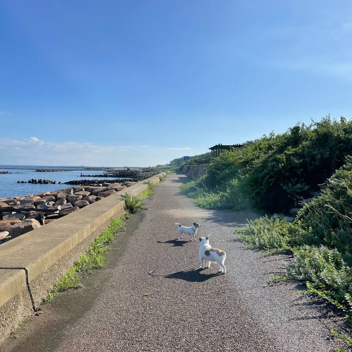 754d1ea9 e245 43f9 b9fe 17164e2f8fcd 1661037777194