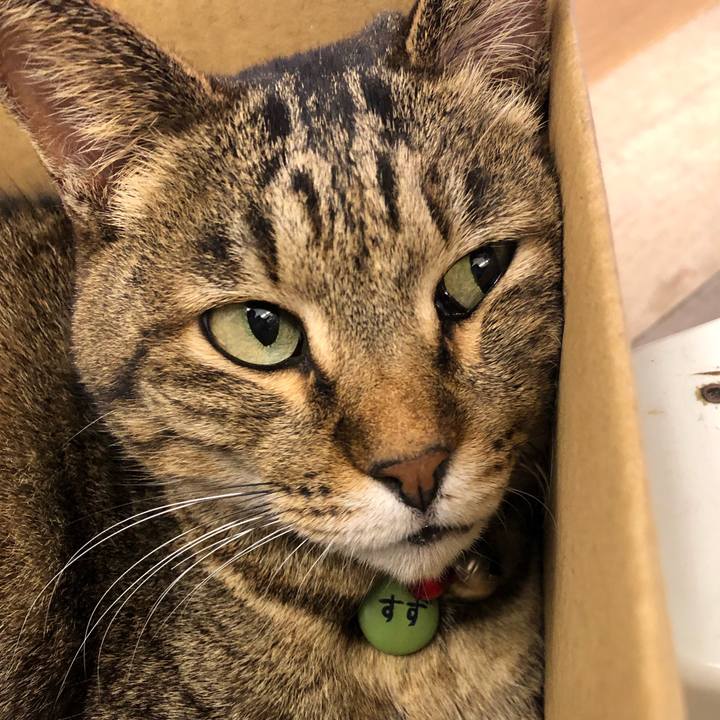 754d3741 2d64 4e54 996b 6c198989dd48 1610352977002