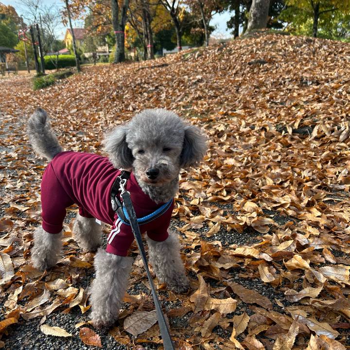 754d432c ff21 40a9 a288 63a3282512e5 1764122813980