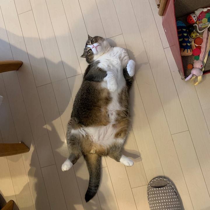 754da1e3 993c 4b09 bb0c 9d72244756d3 1559345888270