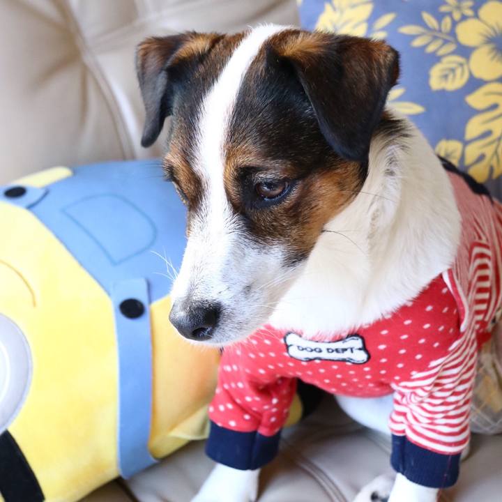 754deb56 5b0b 49b0 b7be b74b8b90bfe2 1546574828728