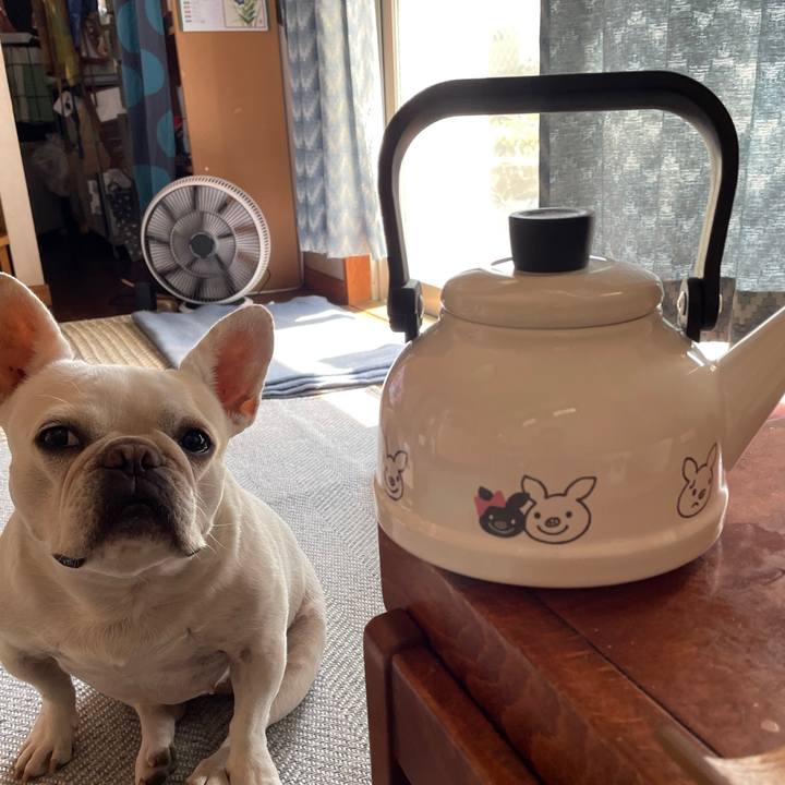 754e428e d3f6 48bb ac3a 30e083adec2c 1759112894351