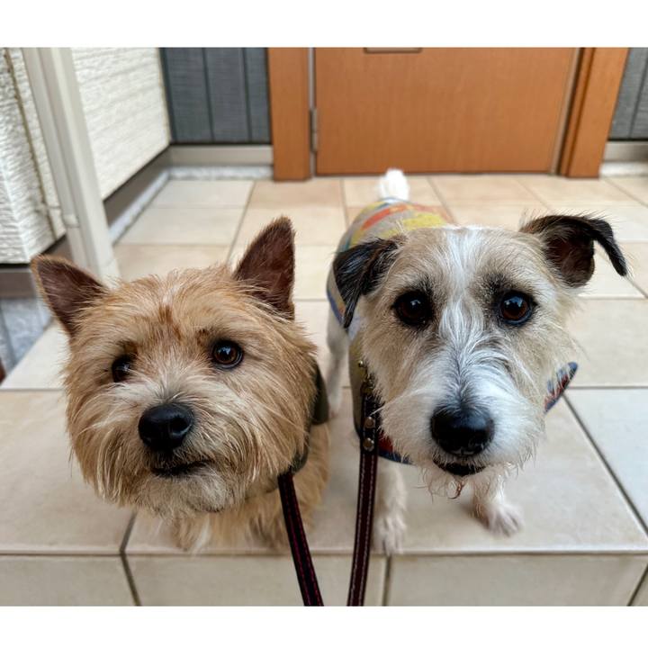 754e7def 1040 4343 8e83 88b519d9dd47 1767175255495