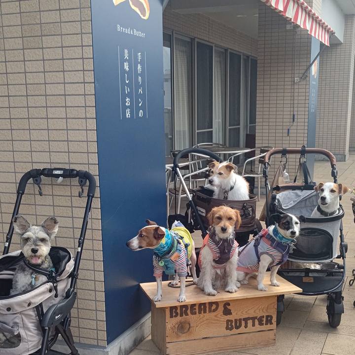 754e9c7f 8832 4f79 9059 5a034509bfa3 1694771756101