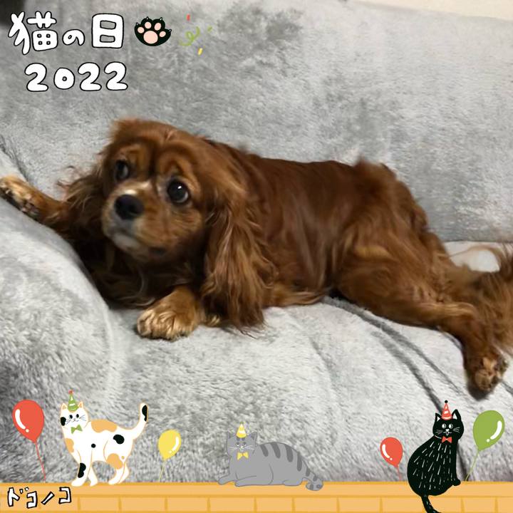 754ea051 78a1 4890 b112 9f44cbf4b0a9 1645575902868