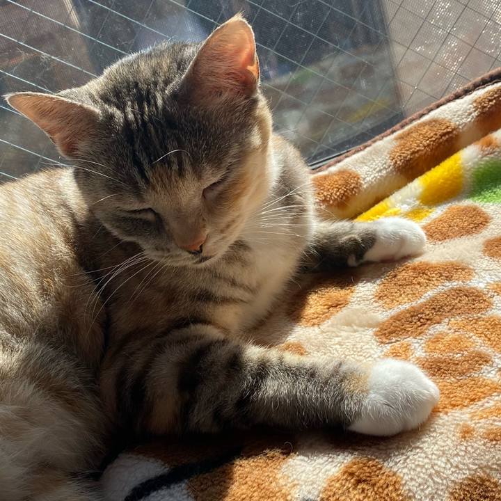 754f1763 405d 4d41 8da6 4ad157dac587 1613928172701