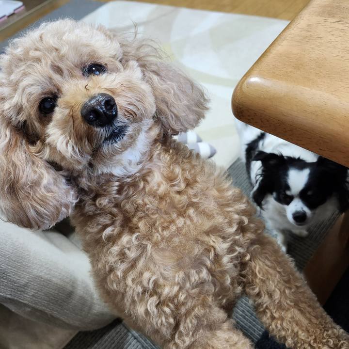 754f3046 8db3 46e3 ad5e 9af4b43dfcd3 1760657415748