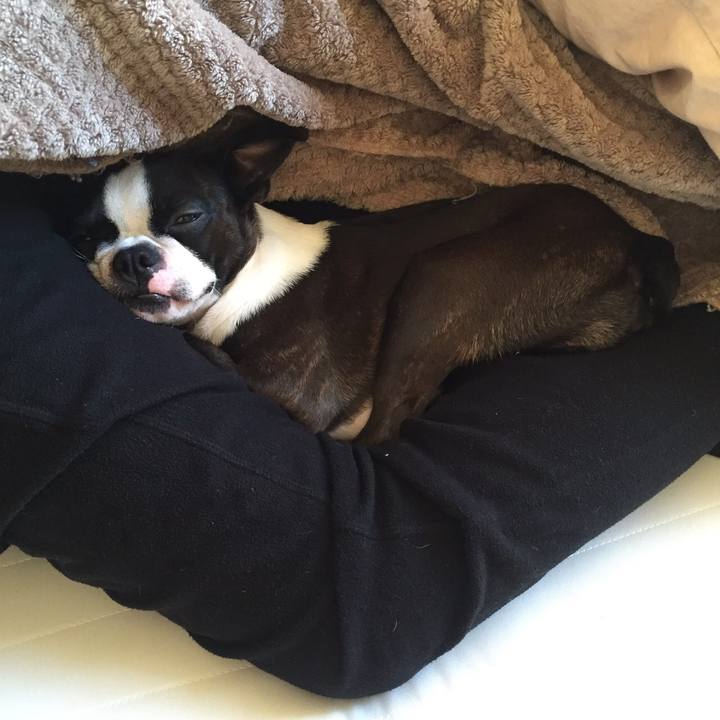 754f5e9c facf 4e75 a5db 54f46d9ad3a9 1513121544861