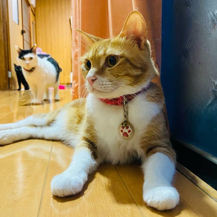 754f721c f4a1 4ec7 8367 f5f189aebc82 1656104474607