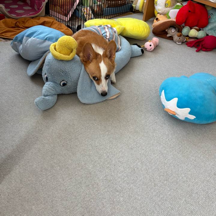 754fb787 2e34 46fd 93e7 a2278895a2a8 1757462843324