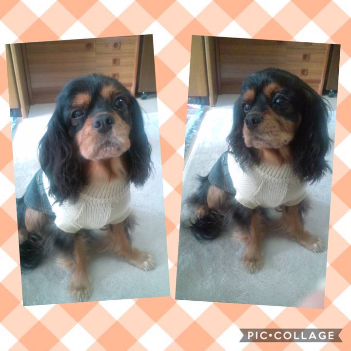 754fd3b0 f8db 40d8 8fac 315c5f0884d9 1573446730108