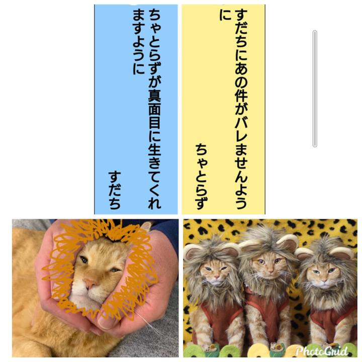 754fe19c eddf 42b3 aee7 565f55a00b5e 1625750649092