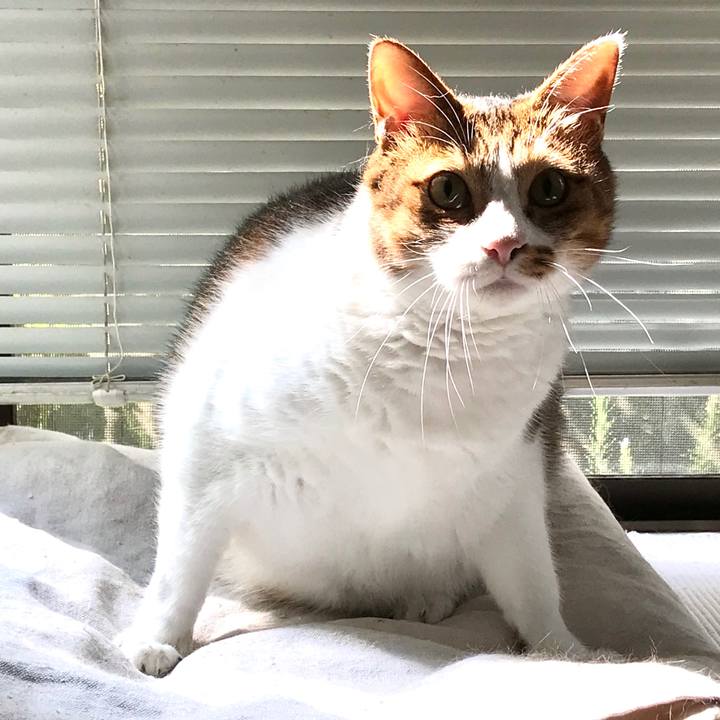 75502040 3f43 4710 b173 755bbea2b750 1597542200748