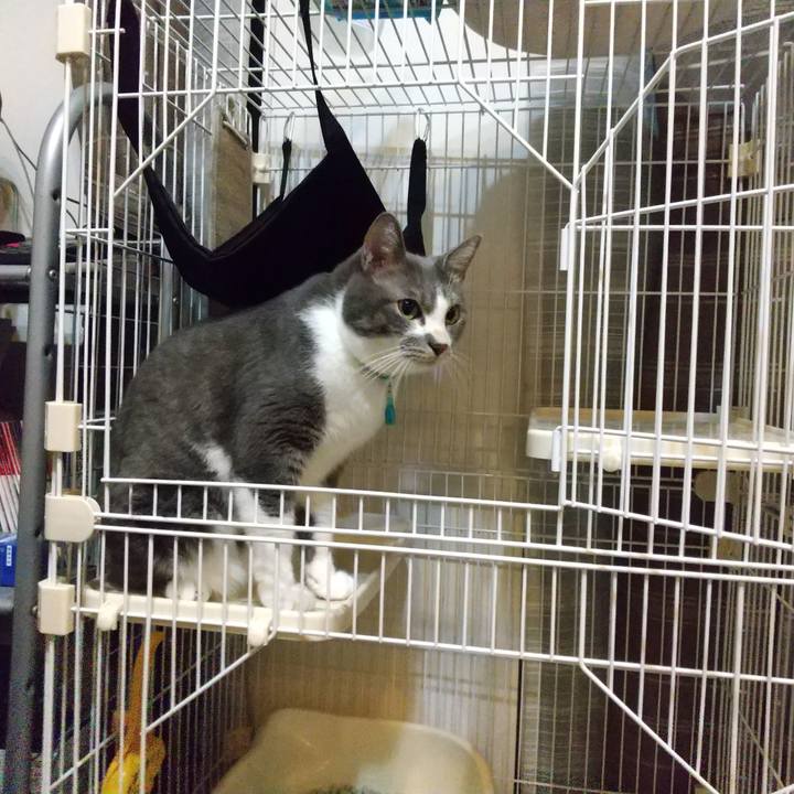 75504d97 82ab 4111 aeab b9266b696c83 1635165650998