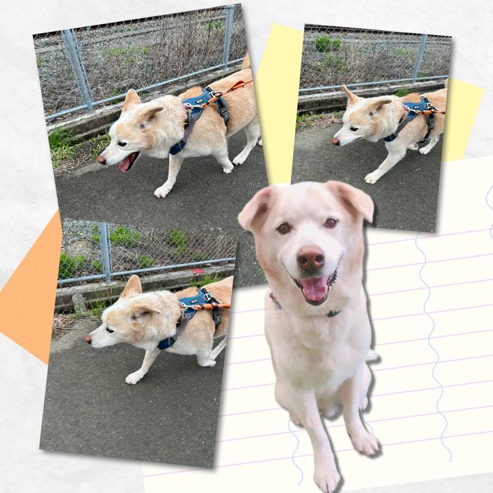 75508cfa 6c56 47e3 99bb 70274404927b 1713951871593