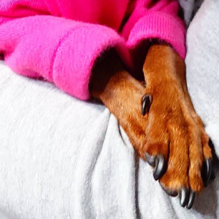 7550d010 509b 49f4 9126 3105a312f0d6 1762342797219